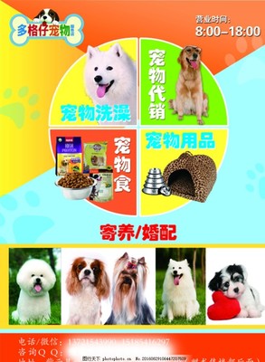 寵物服務傳單與海報設計模板推薦