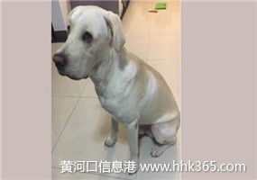 嚴(yán)格執(zhí)行來料檢驗標(biāo)準(zhǔn)，保障寵物托運(yùn)服務(wù)質(zhì)量與安全